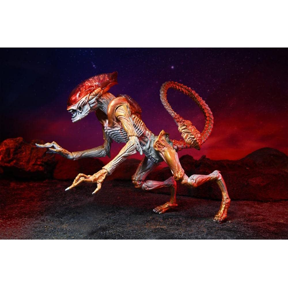 Aliens - 7" Scale Action Figure - Ultimate Kenner Tribute Panther Alien - Image 2