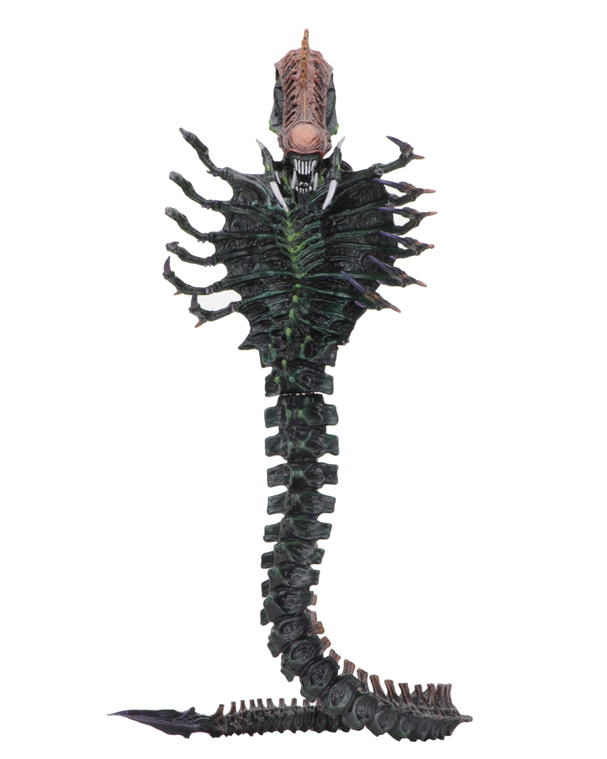 NECA - Aliens - 7" Scale Action Figure - Series 13 Snake - Image 3